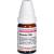 OLEANDER C 200 Globuli
