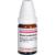 OLEUM TEREBINTHINAE C 30 Globuli
