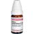 OLEUM TEREBINTHINAE D 20 Globuli Ind.Fert.