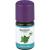 OREGANO ÖL Bioaroma Baldini
