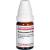 PANAX GINSENG C 1000 Globuli Ind.Fert.