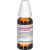 PAREIRA BRAVA D 4 Dilution