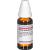 PERILLA OCYMOIDES D 4 Dilution