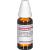 PETROSELINUM D 12 Dilution