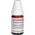 PHOSPHORUS AMORPHUS D 12 Globuli