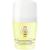 R&G Fleur de Figuier Deo DP