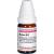 RUMEX D 12 Globuli