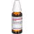 RUTA C 6 Dilution
