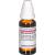 SABAL SERRULATUM D 4 Dilution