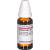 SAMBUCUS NIGRA D 3 Dilution