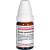 SECALE CORNUTUM D 200 Globuli