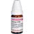 SPONGIA C 1000 Globuli SPONGIA C 1000 Globuli