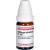 STILLINGIA silvatica C 100 Globuli Ind.Fert.
