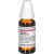 STILLINGIA silvatica D 4 Dilution