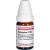 SYMPHYTUM C 100 Globuli Ind.Fert.