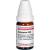 SYMPHYTUM D 60 Globuli Ind.Fert.