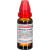 SYMPHYTUM EXTERN