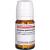 SYZYGIUM JAMBOLANUM D 6 Tabletten