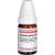 THALLIUM ACETICUM D 10 Globuli Ind.Fert.