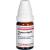 THYMUS VULGARIS D 7 Globuli Ind.Fert.