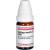 USTILAGO MAYDIS C 1000 Globuli Ind.Fert.