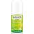 WELEDA Citrus 24 h Deo Roll-on