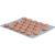 ANGOCIN Anti Infekt N Filmtabletten