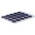 BLUE BERRY Tabletten