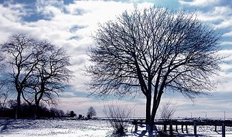 Günstig und gesund durch den Winter