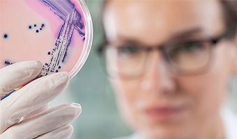 Immer mehr Erreger trotzen Antibiotika