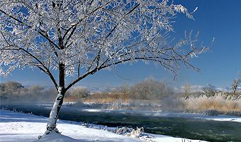 Mit heiler Haut durch den Winter: Die besten Tipps gegen trockene Haut bei frostigem Wetter