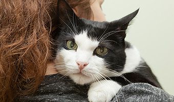 Tierisch gesund - wie sich Haustiere bei uns pudelwohl fühlen