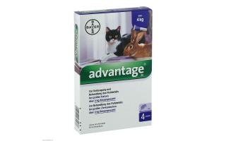 Advantage