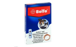 Bolfo