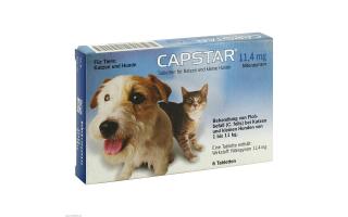 Capstar