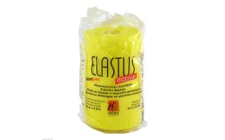 Elastus Elastus