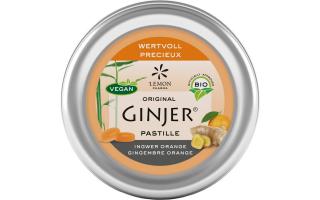 Ingwer Ginjer