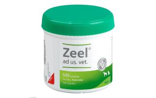 Zeel Zeel