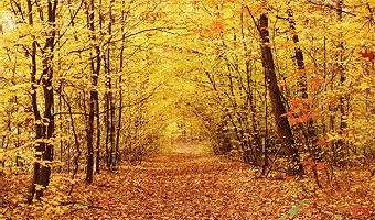 Erholt durch den Herbst