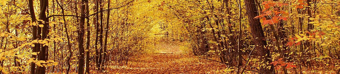 Erholt durch den Herbst