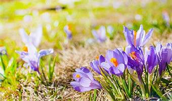 Fit durch den Frühling