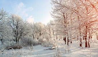 Gestärkt durch den Winter